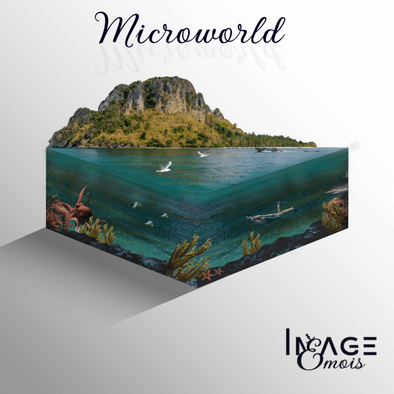 microworld sur le thème de la mer